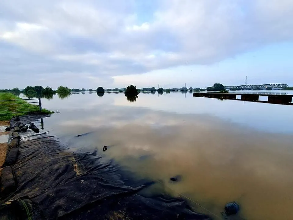 226491402 1811830788988332 2366610497712058153 n