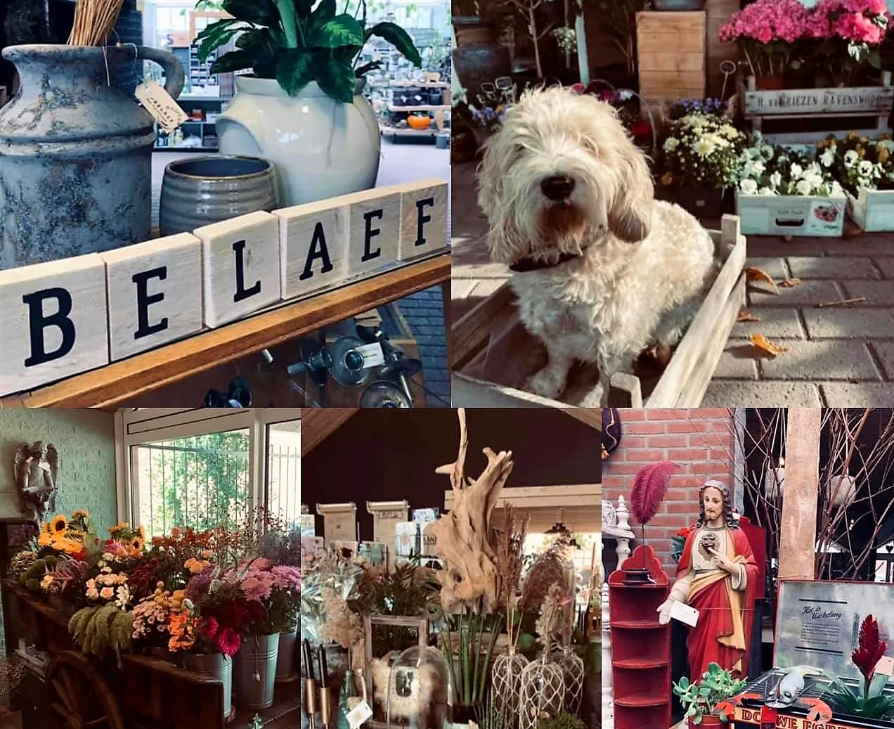 262475379 307728764687930 5205993630813201018 n