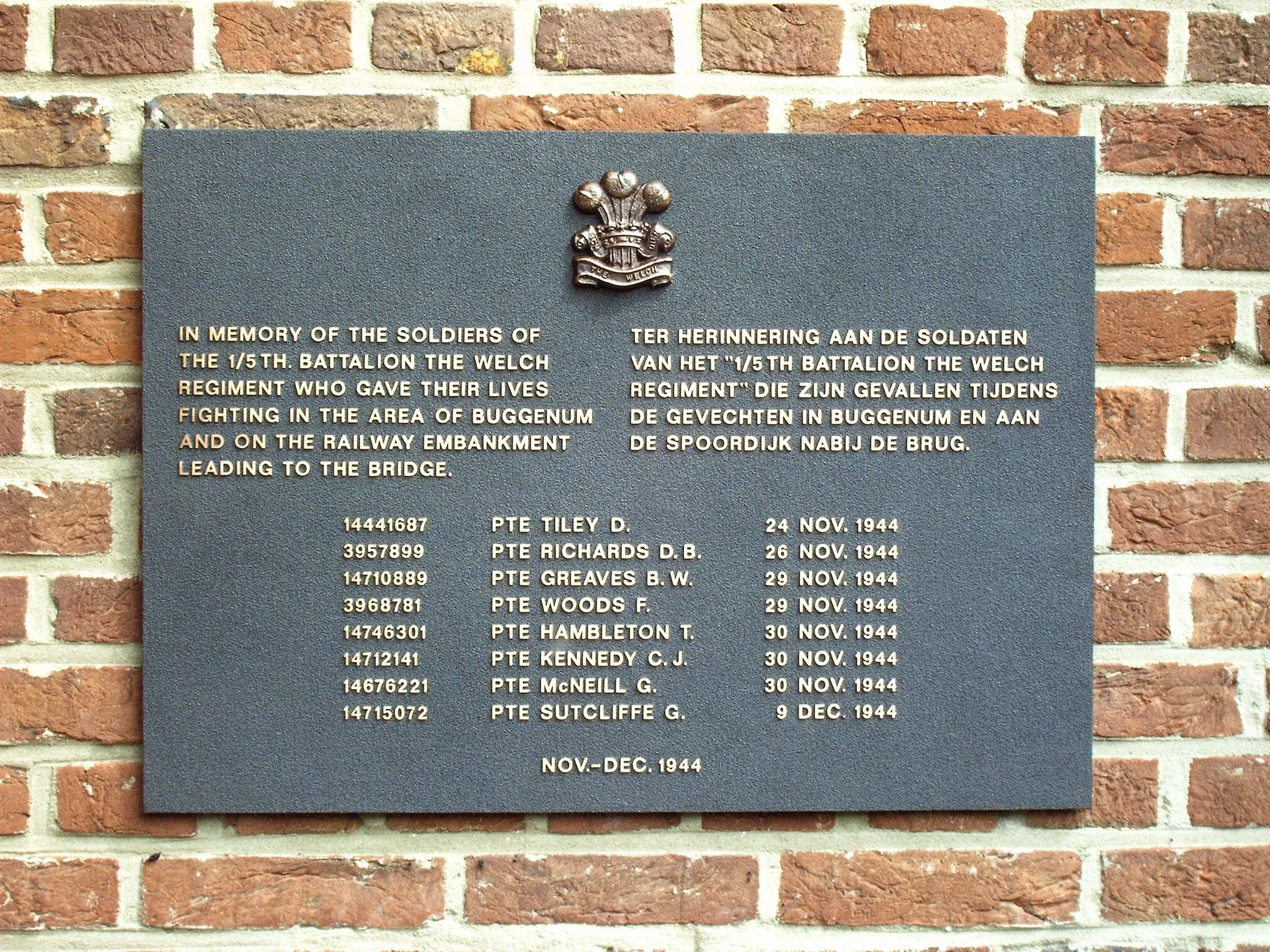 341022127 1343429219722479 3693596331844305847 n