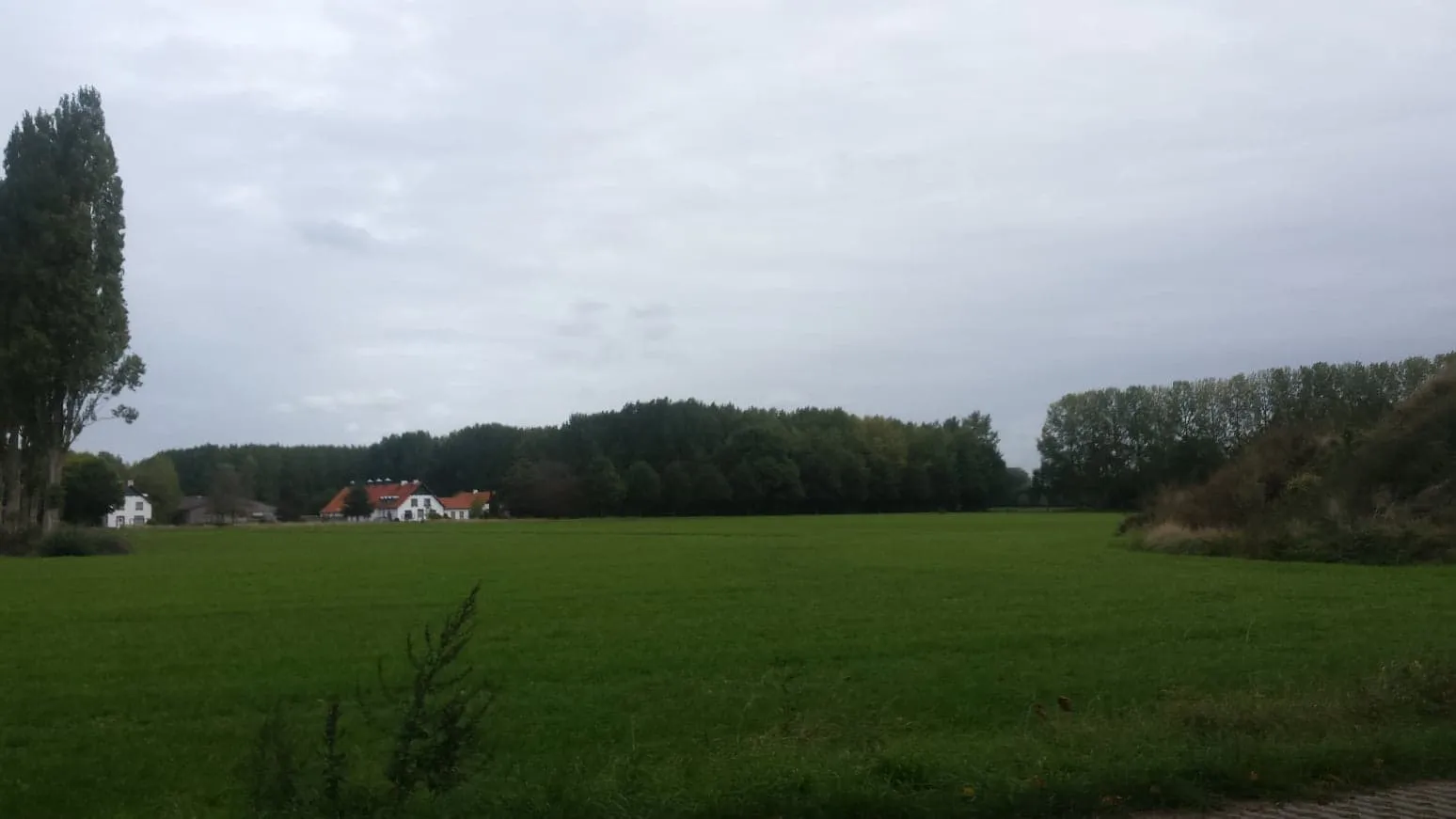 42824091 242344093097967 8242577535683002368 n