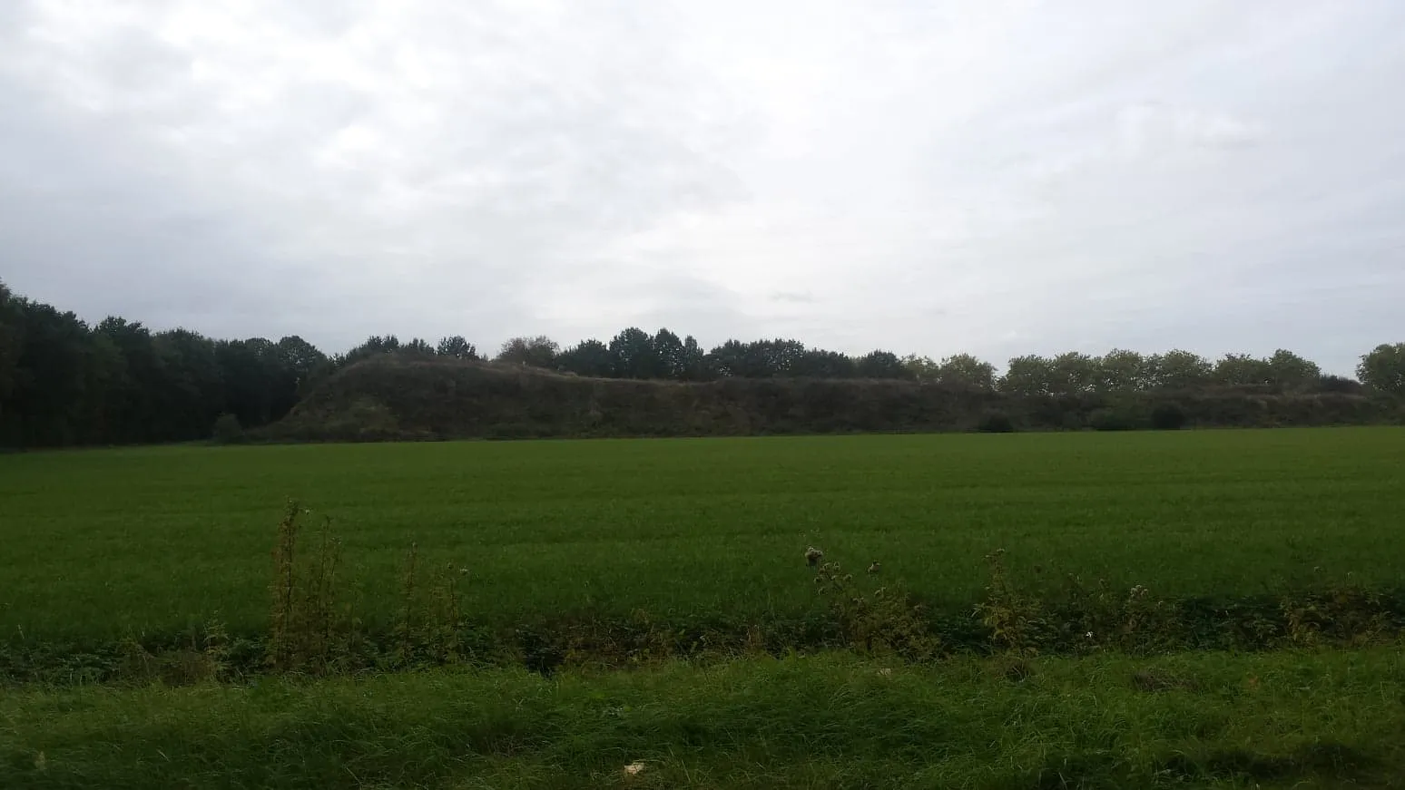 43691894 574153099673039 3755622963873841152 n