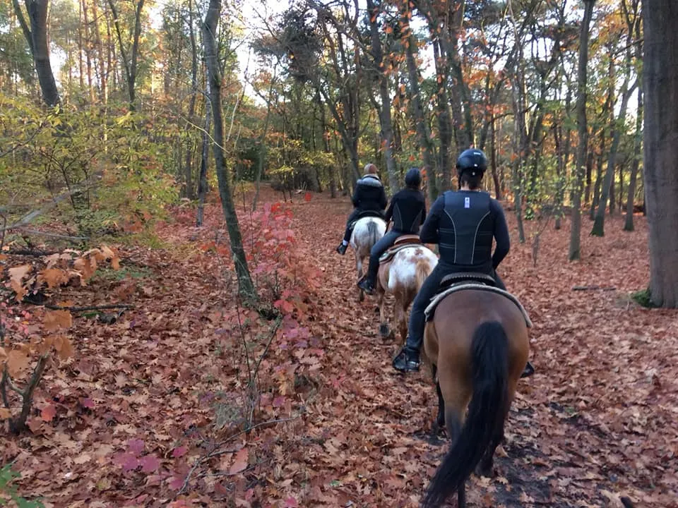 45491501 2018136241557966 4853901283200860160 n