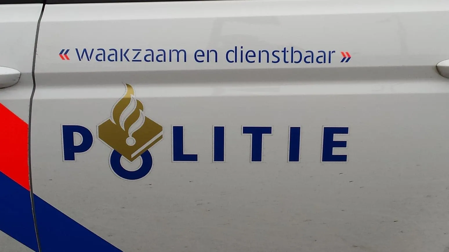 55575795 337791070416391 1434277845730852864 n