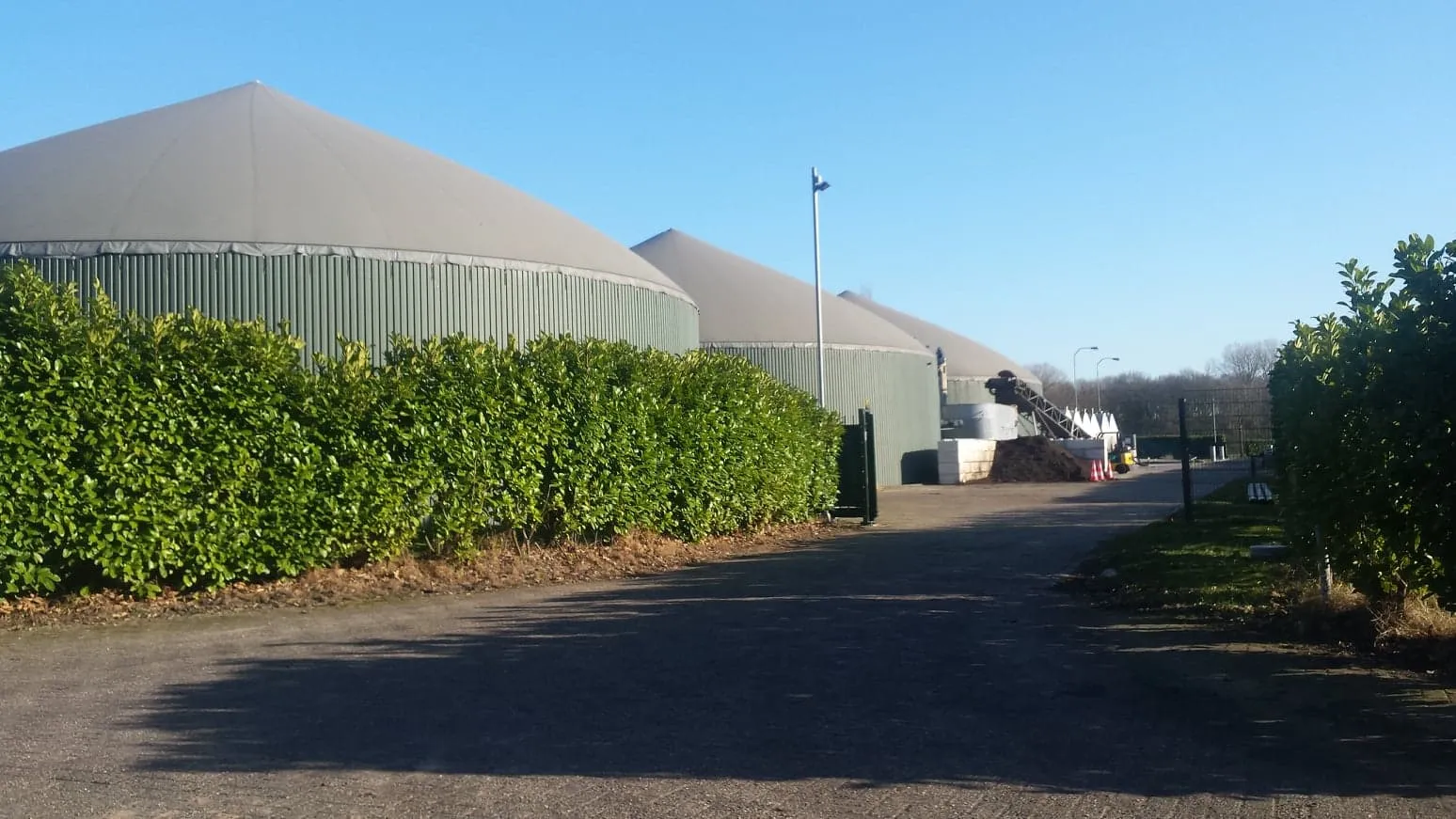 57155121 2234339280159695 7338843853132136448 n