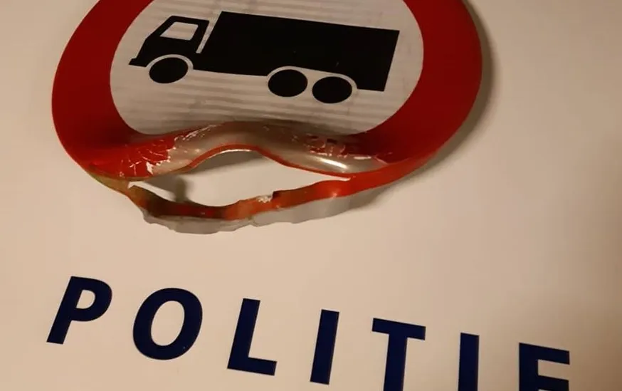 78613654 1240133506194118 4817442620085108736 o