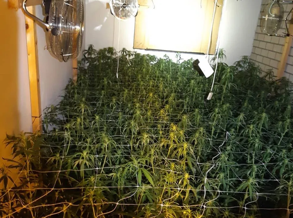 79863132 1257596647781137 8656022340410277888 o