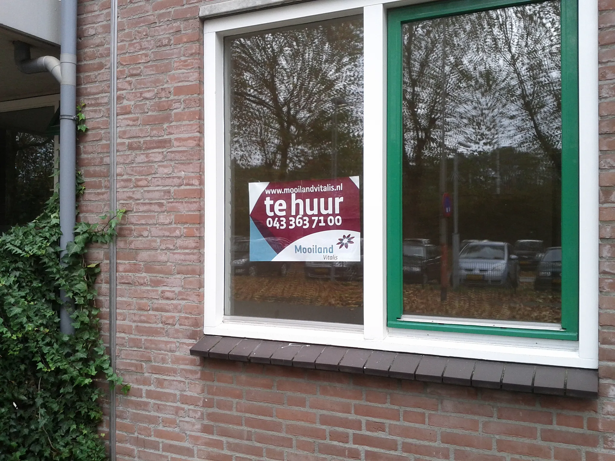 8150386661 0ecb50252d k