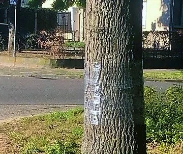 94065405 2899559946804629 3709887699679707136 n