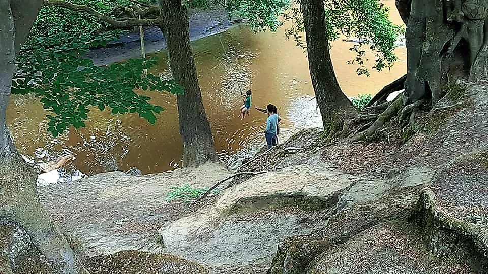 97613038 3524644940897169 3283124231432306688 n