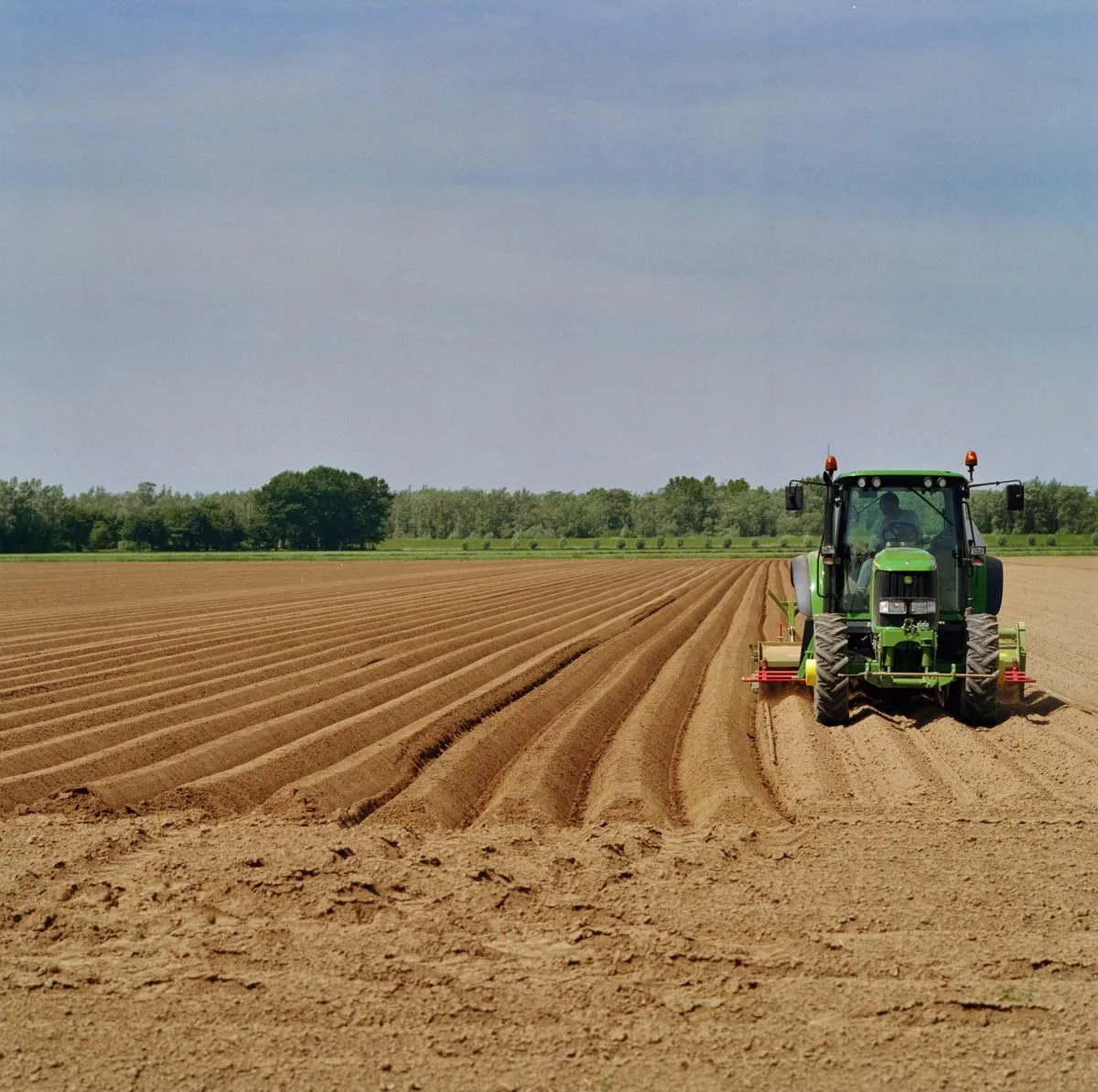 akkerbouw in de biesbosch unknown 20381472 rce