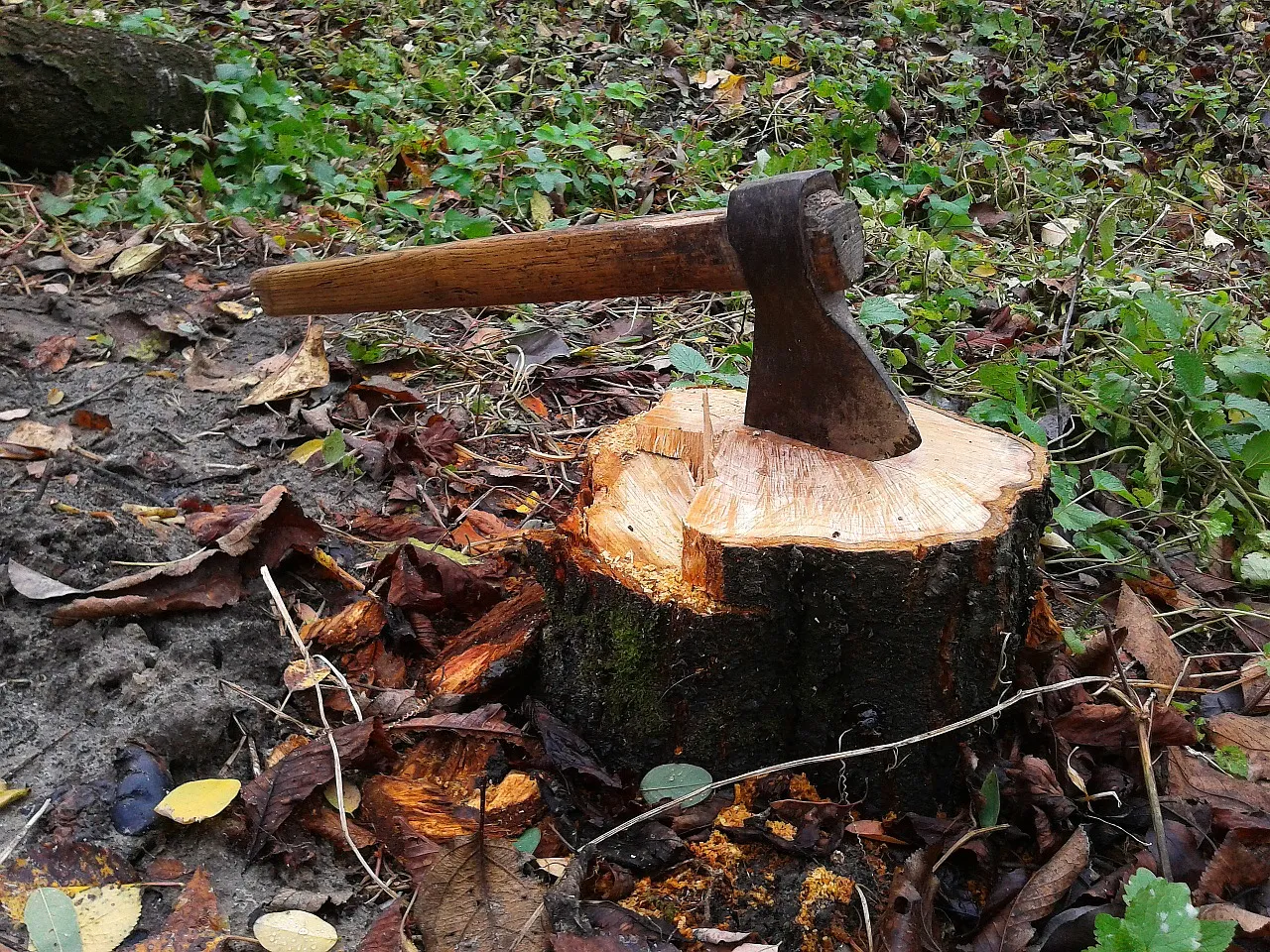 axe 497181 1280