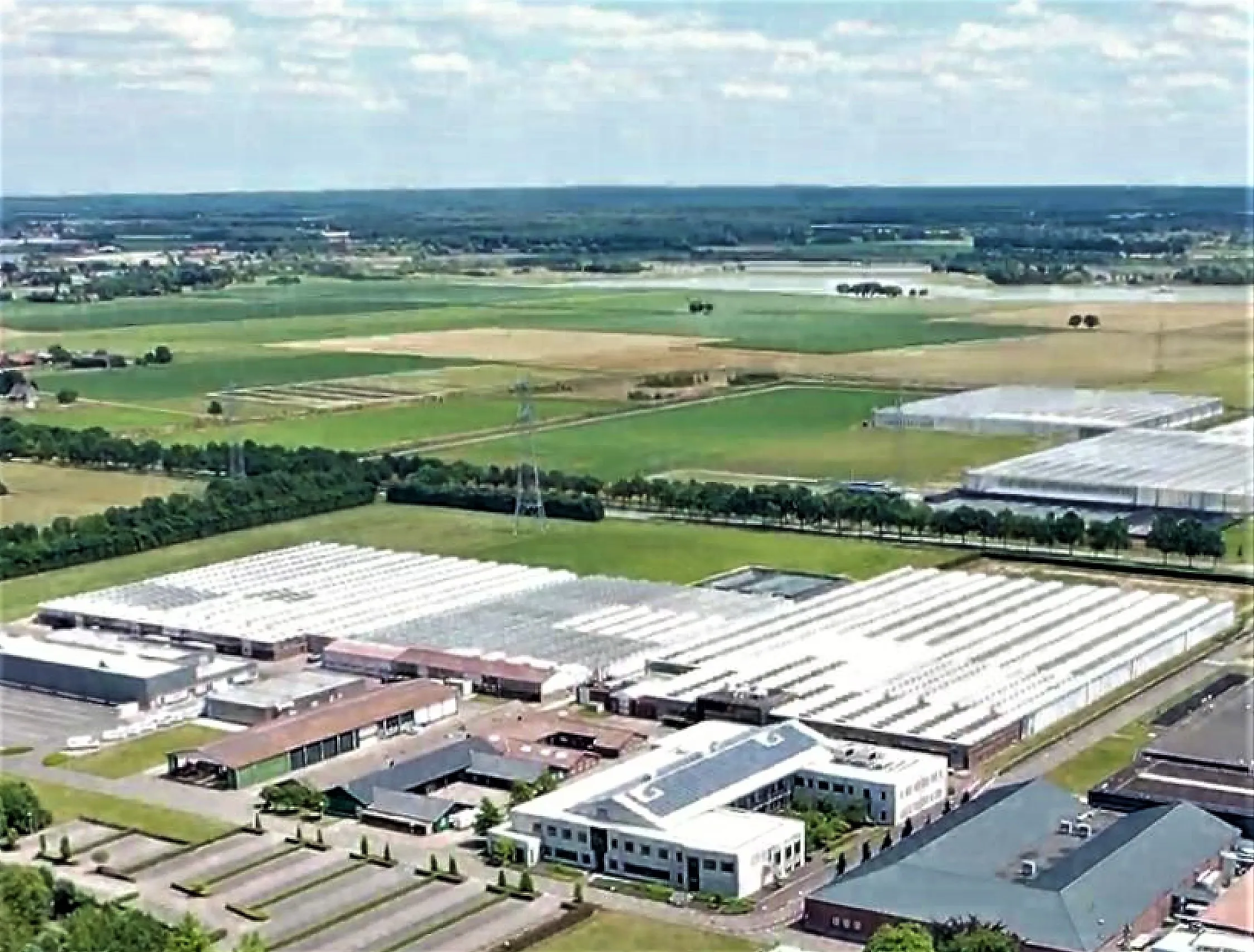 basf extra post nunhem