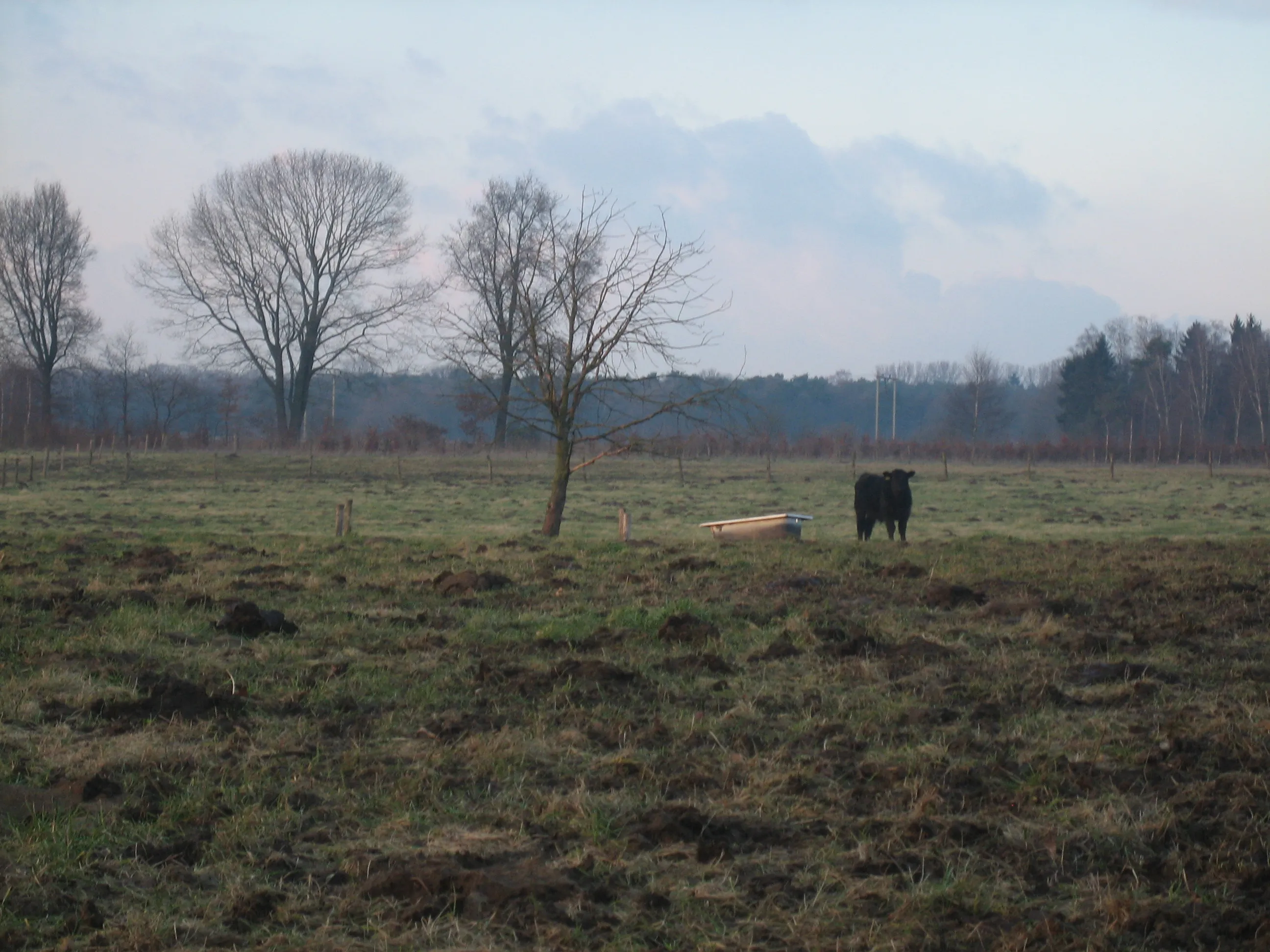 buitengebied baexem koe