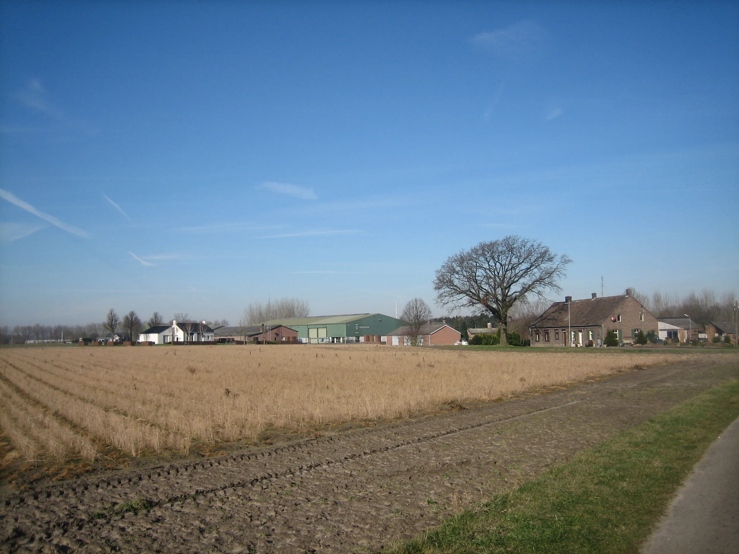 buitengebied roggel1