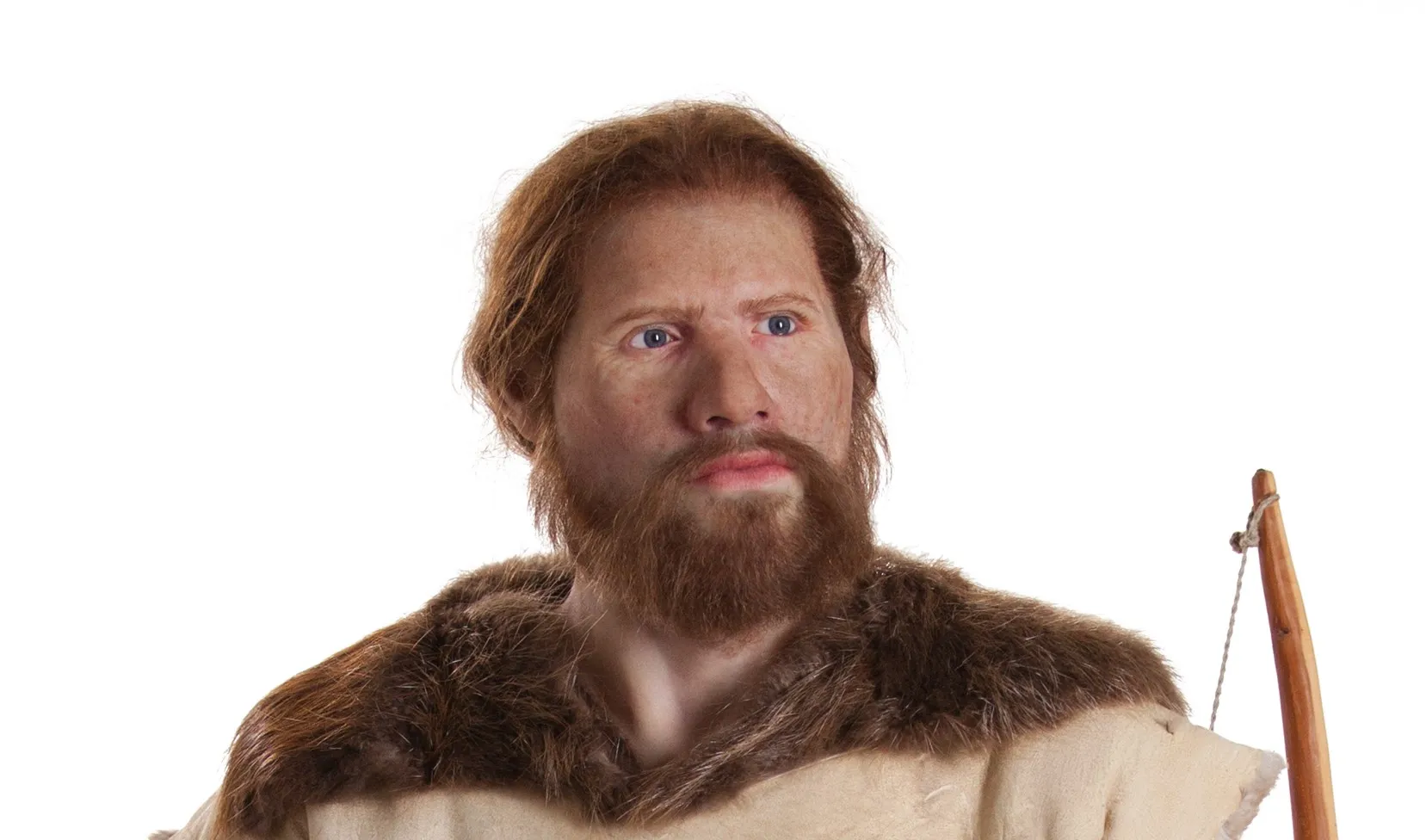 cees de steentijdman1