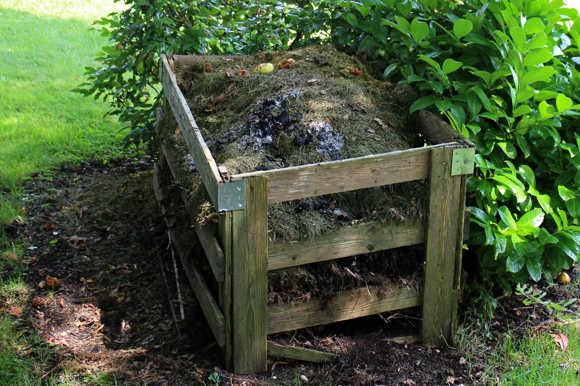 compost 419259 1920