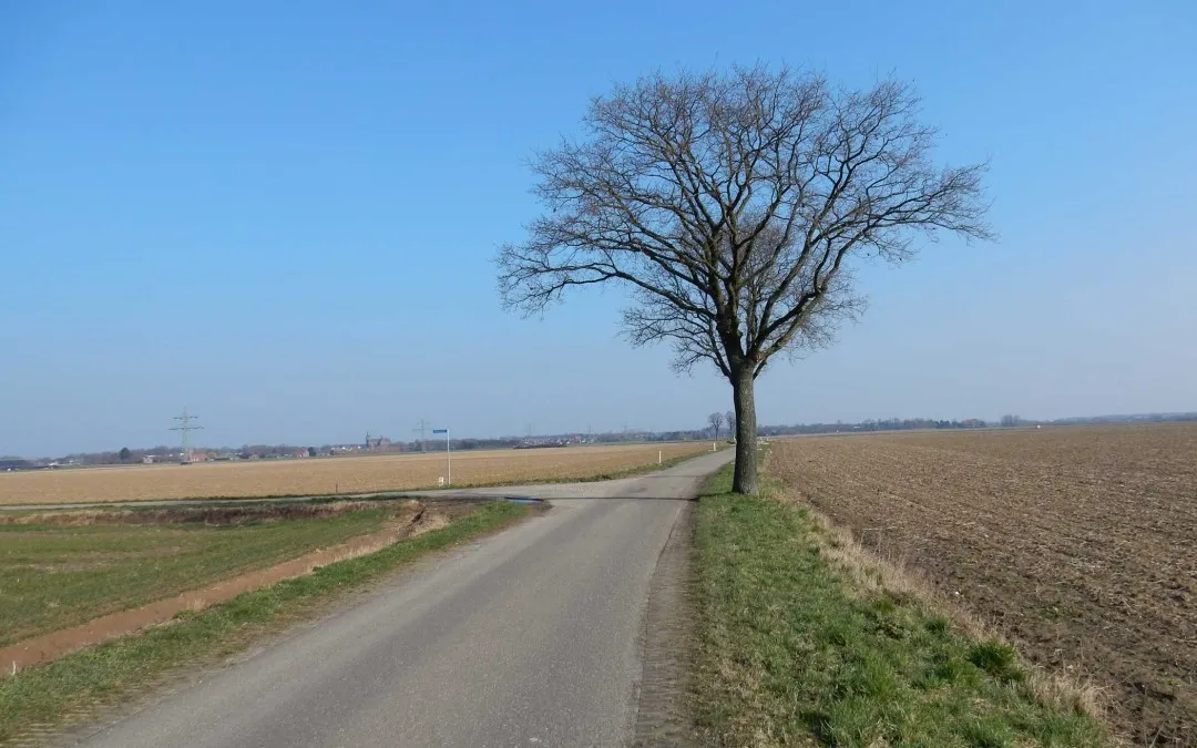 eik meiboomkenswegklein 1080x675
