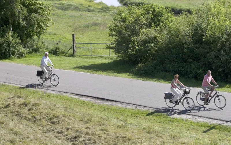 fietsers