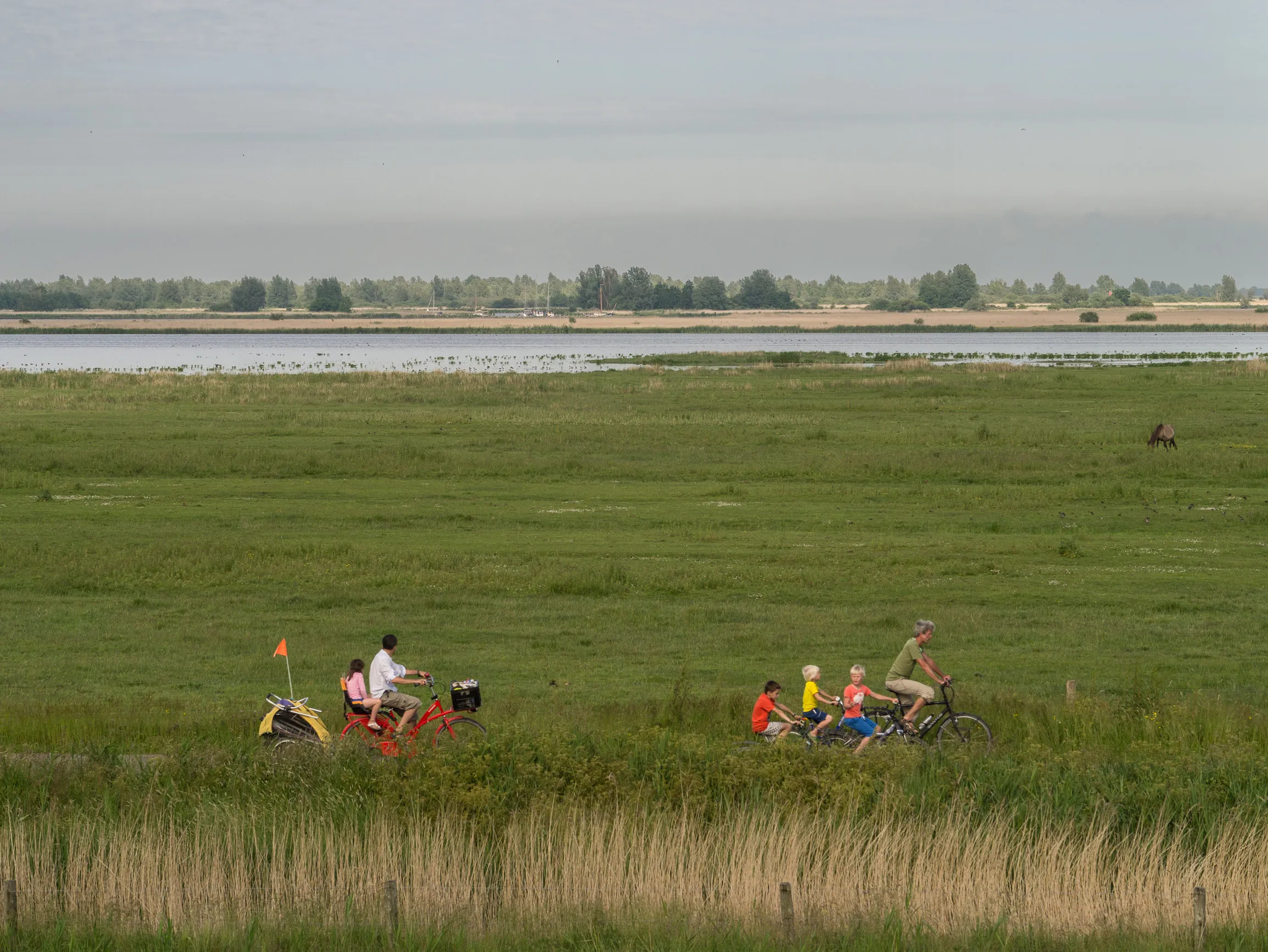 fietsers