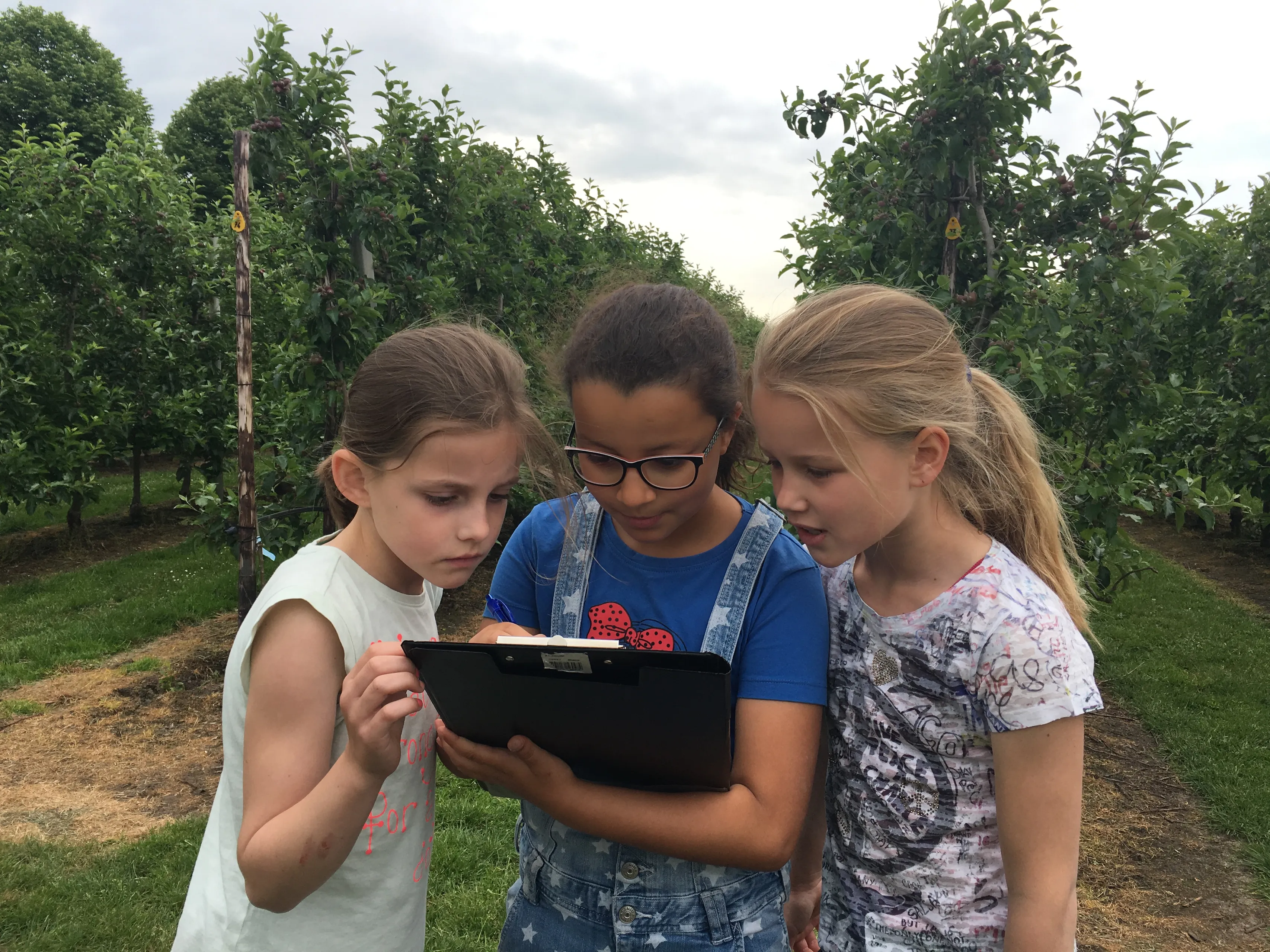 foto 24 05 18 10 14 37