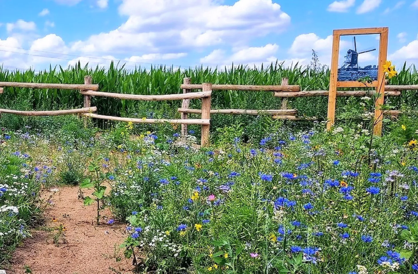 foto de klink groter