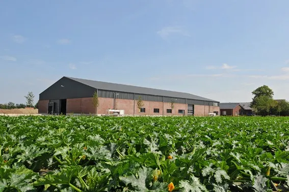 foto tuinderij beegdenhof