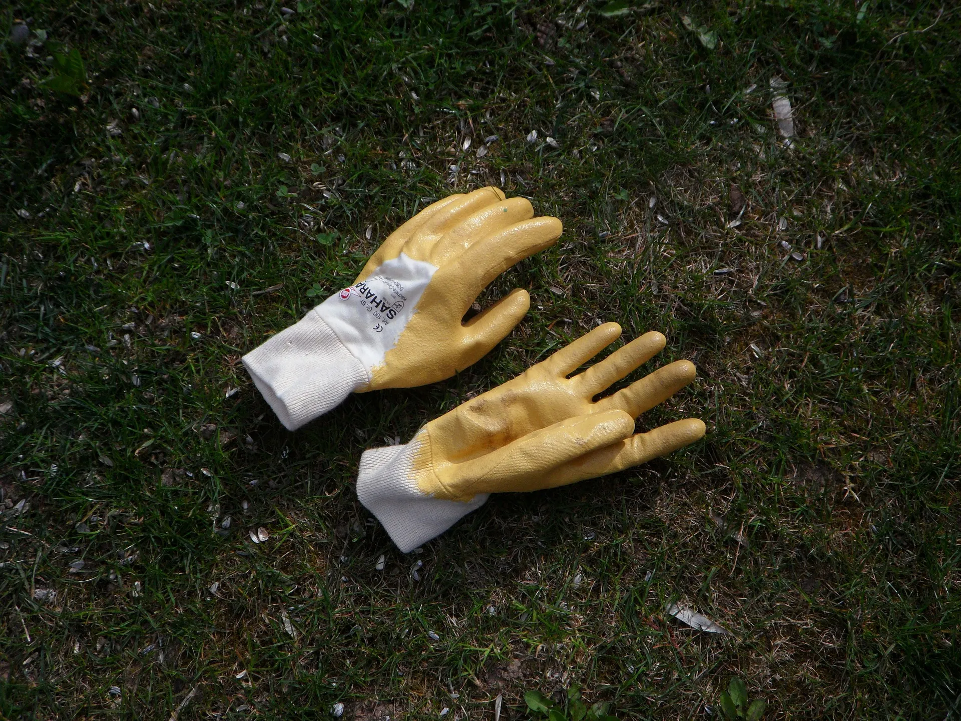 gloves 107005 1920