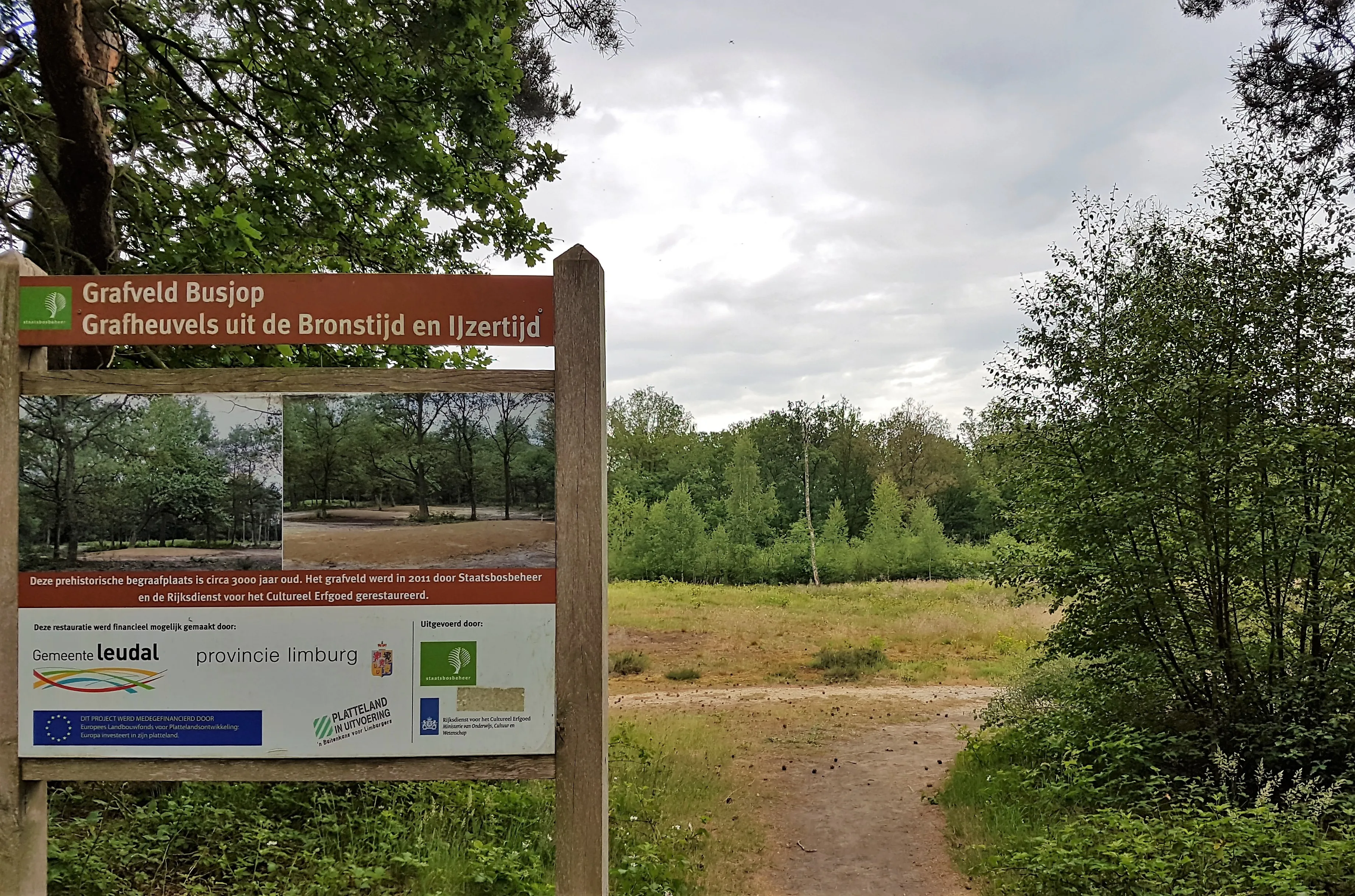 grafheuvels de busjop