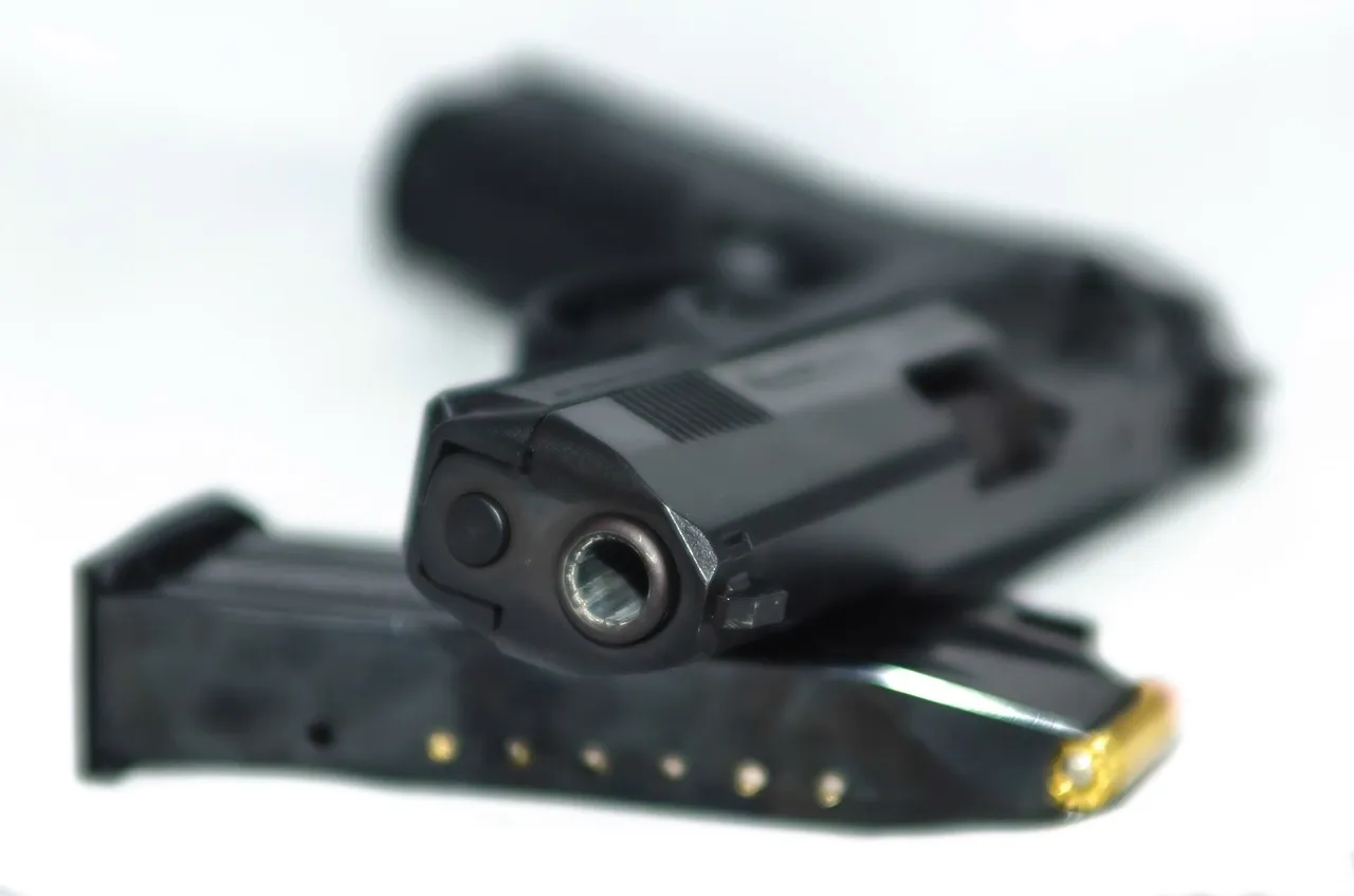 gun 1080231 1280
