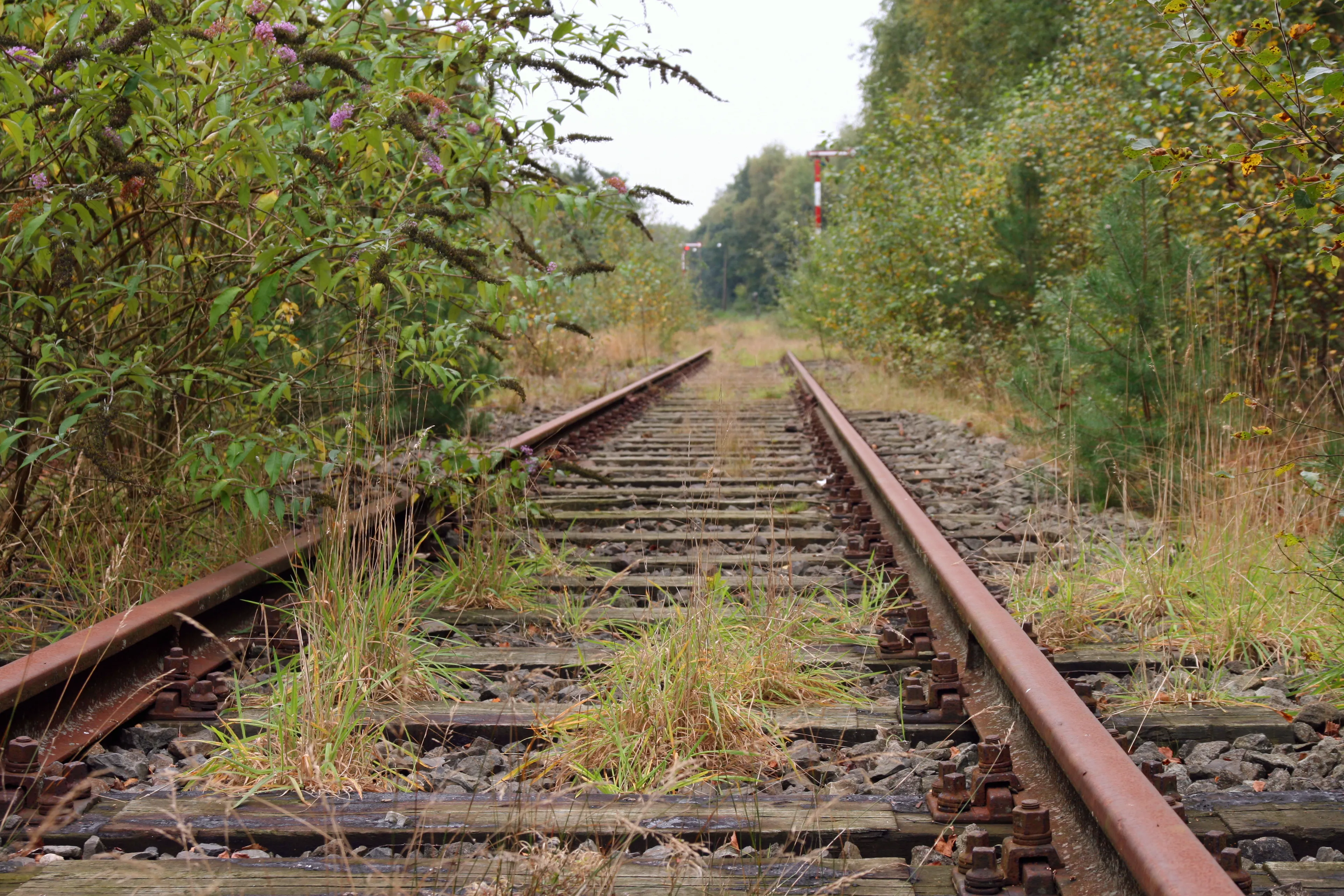 ijzeren rijn iron rhine 2878639513