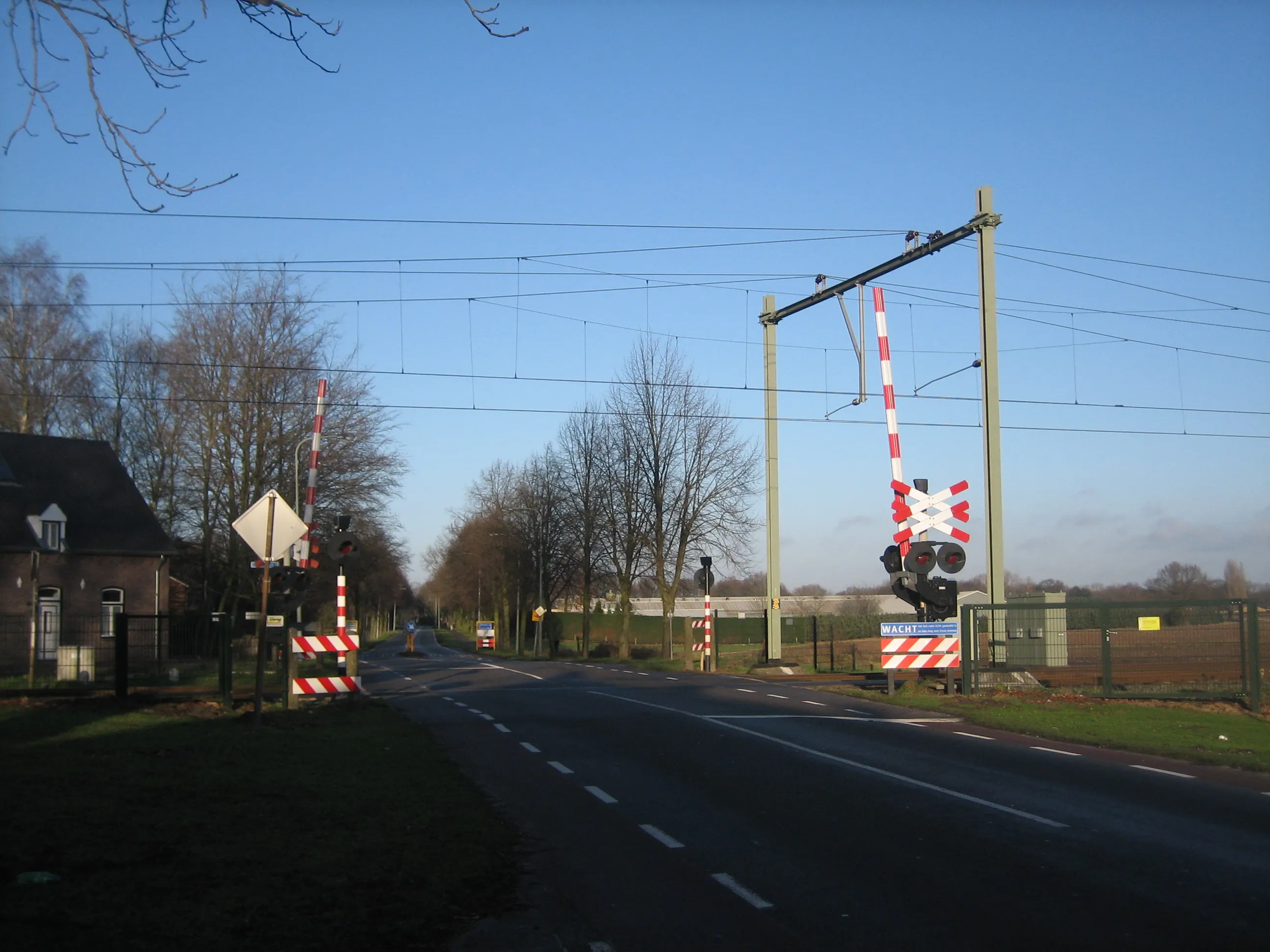img 6589