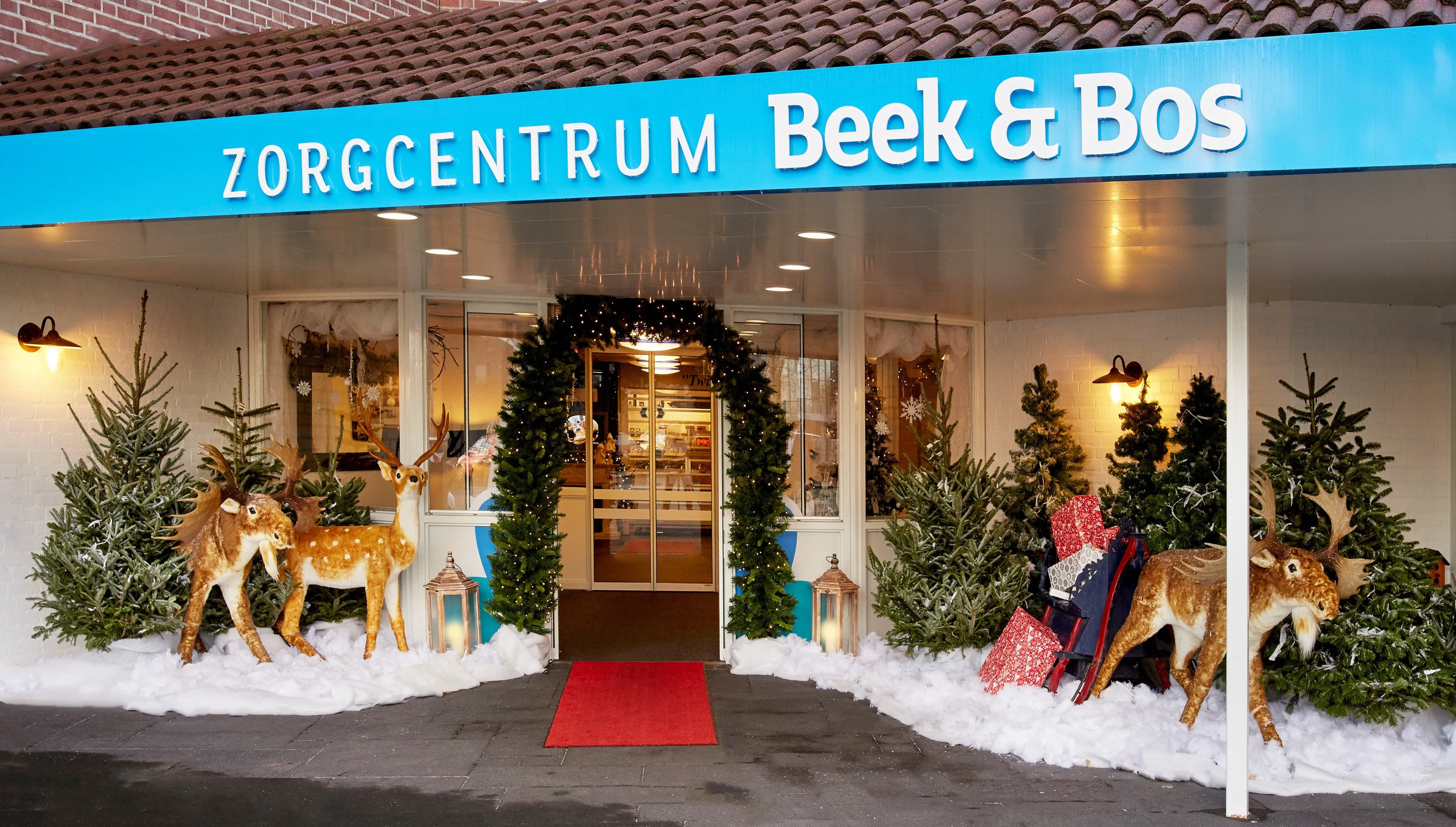 kerstsfeer bij beek en bos