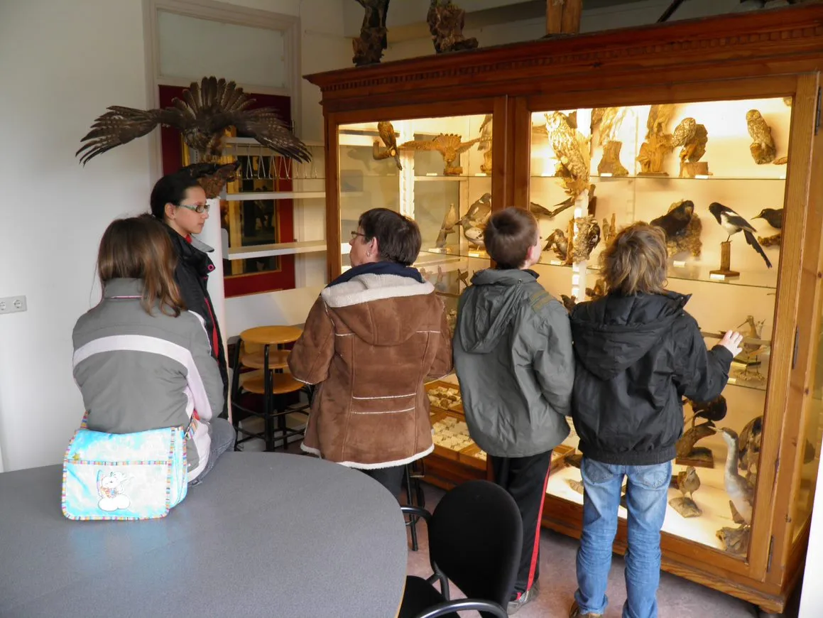 museum vogels