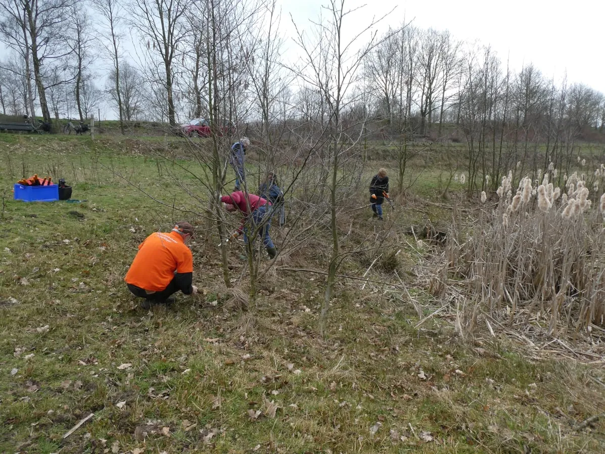 natuurwerkdag maart 2019