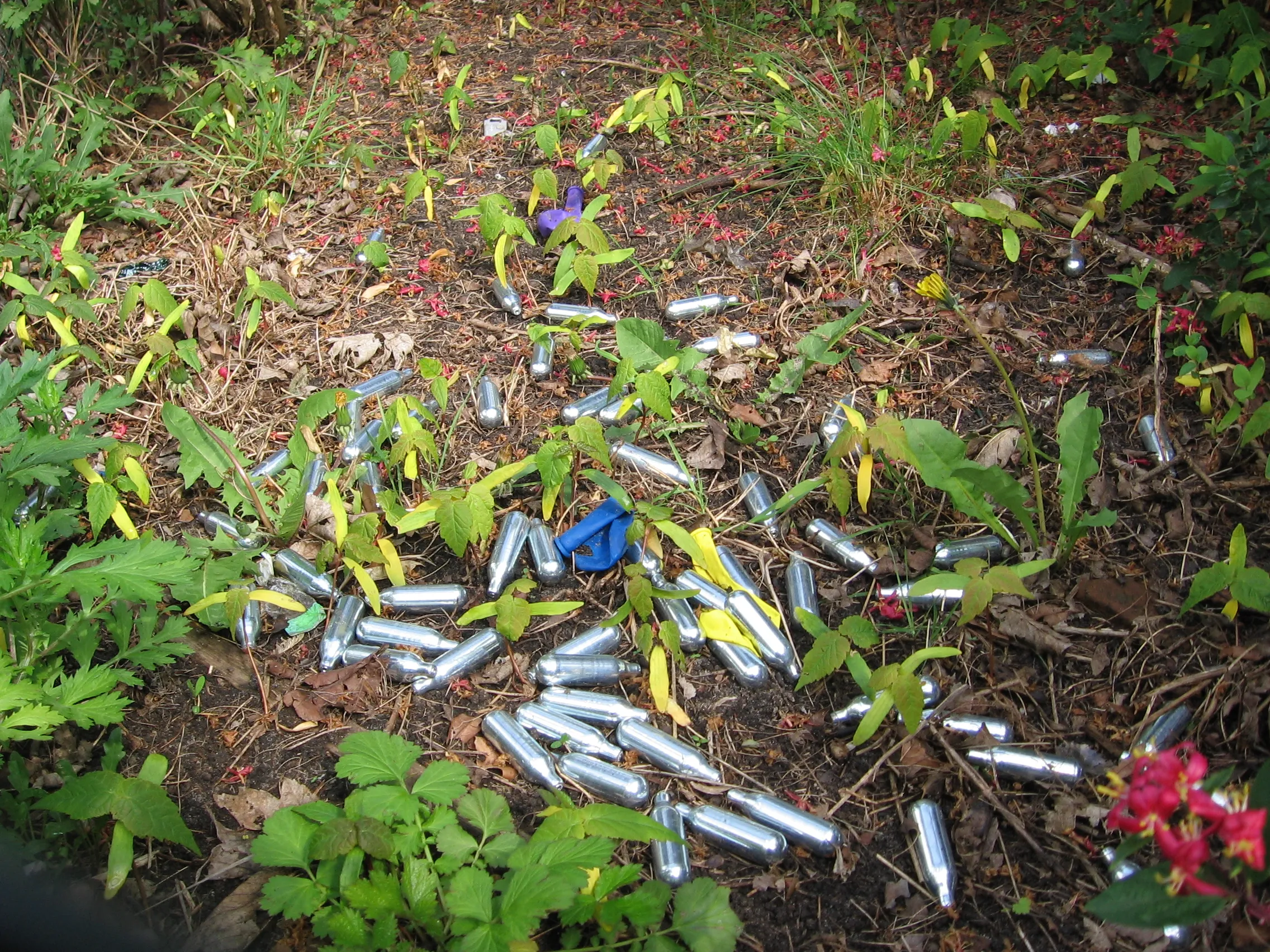 nitrous oxide whippits used recreationally as a drug by dutch youngsters near a school utrecht 2017 1