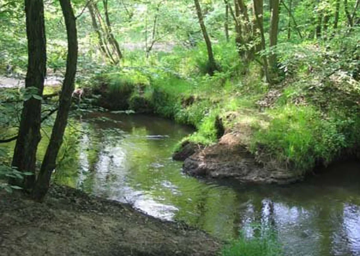 ontdek het leudal leubeek