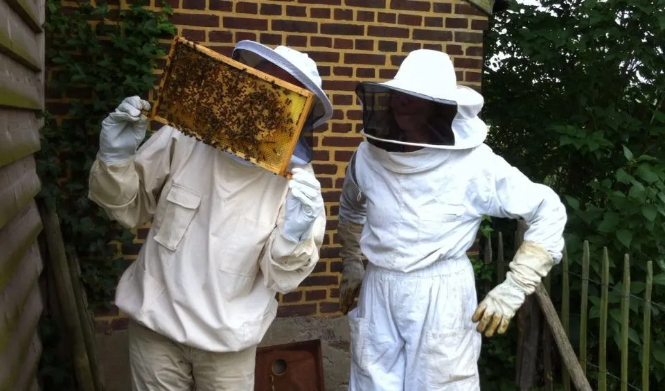 open bijenstand juli