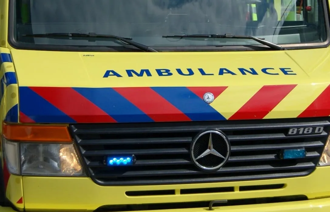 pexels photo 1751209