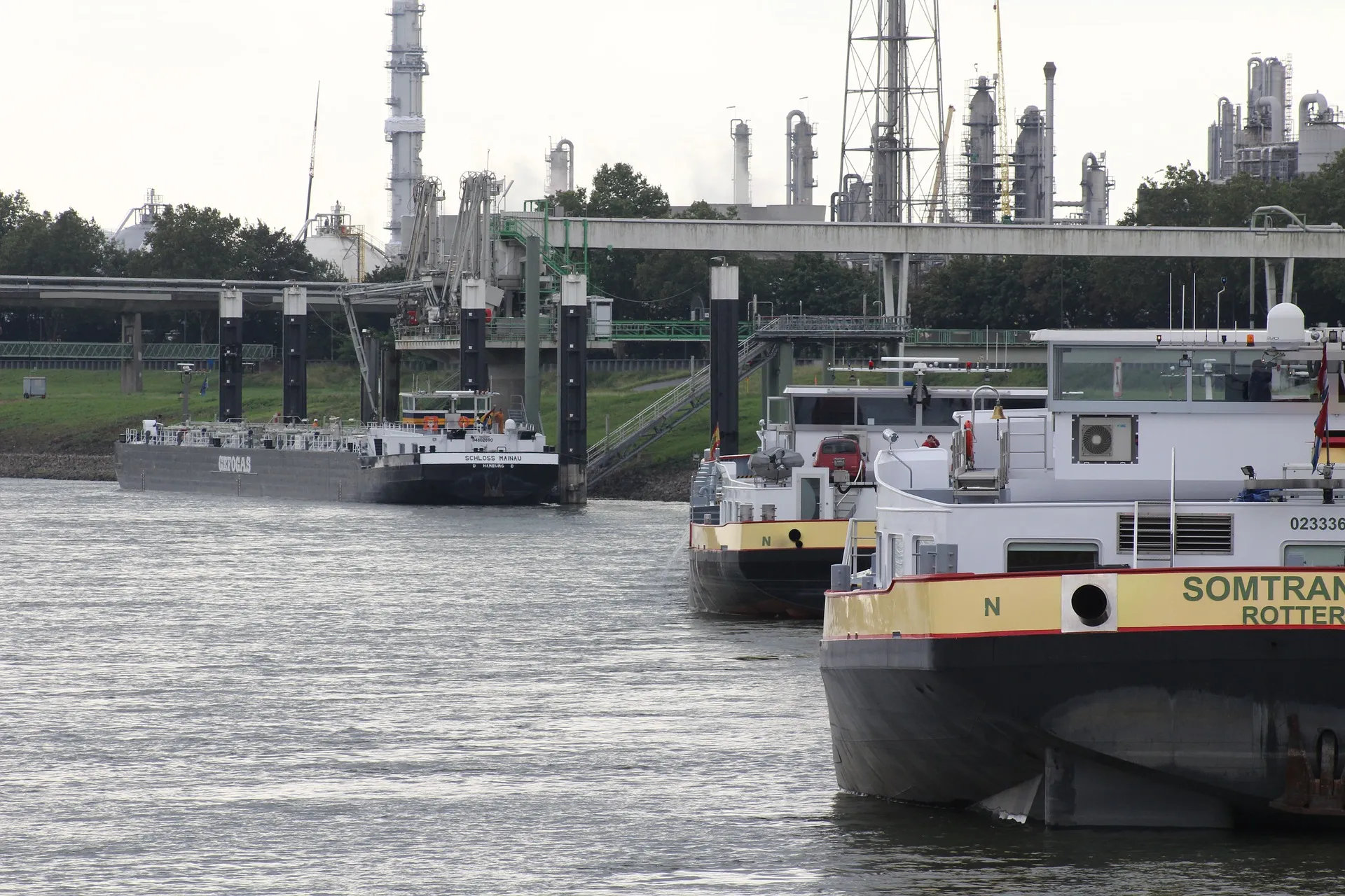 rhine 924197 1920