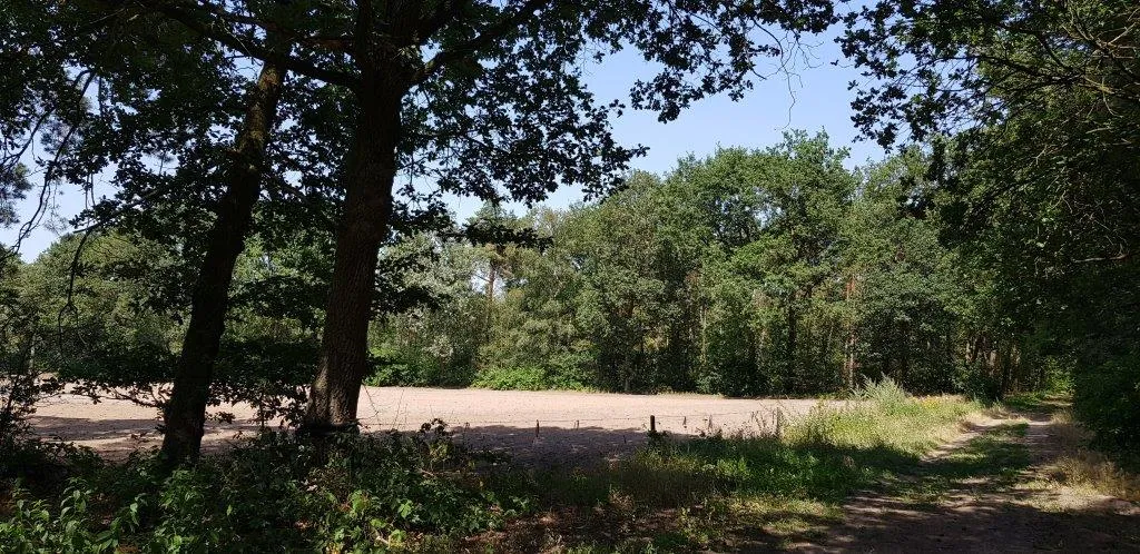 stilste gebied foto2