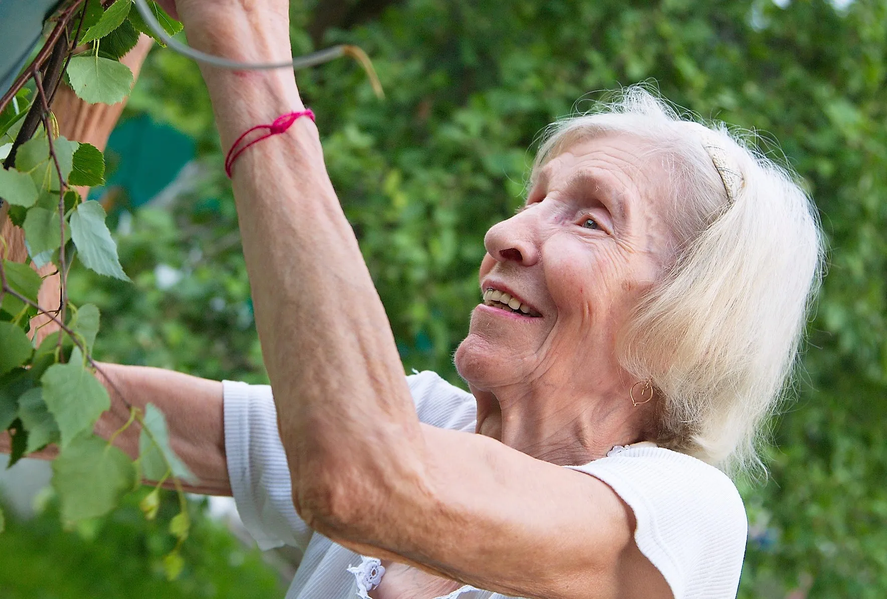 the old lady 3503684 1920