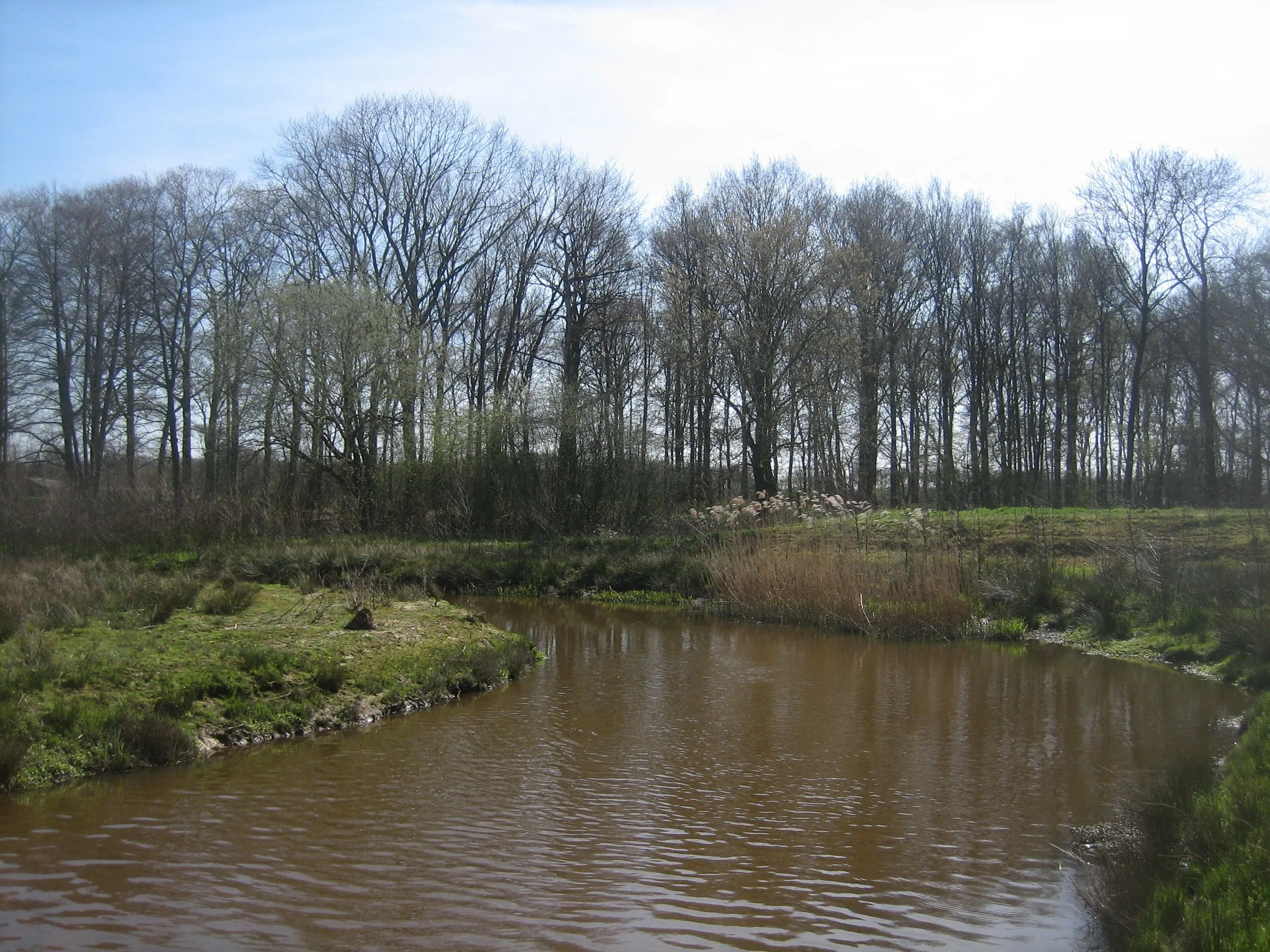 tungelroysebeek hh3