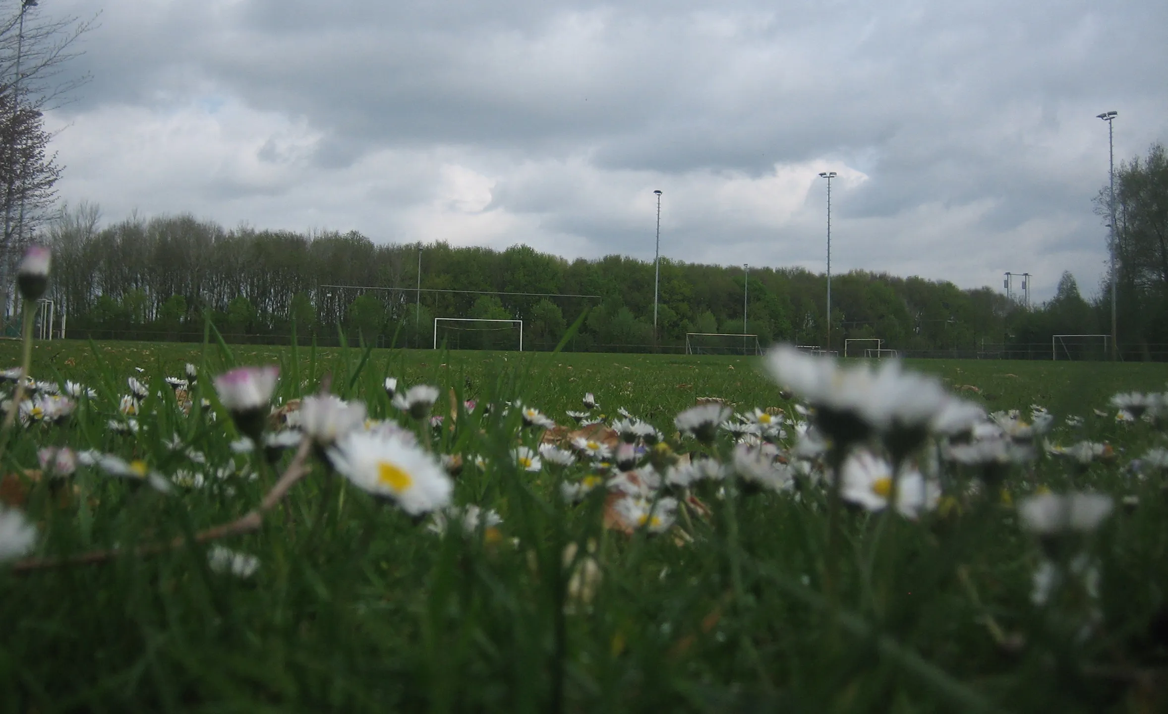 veld