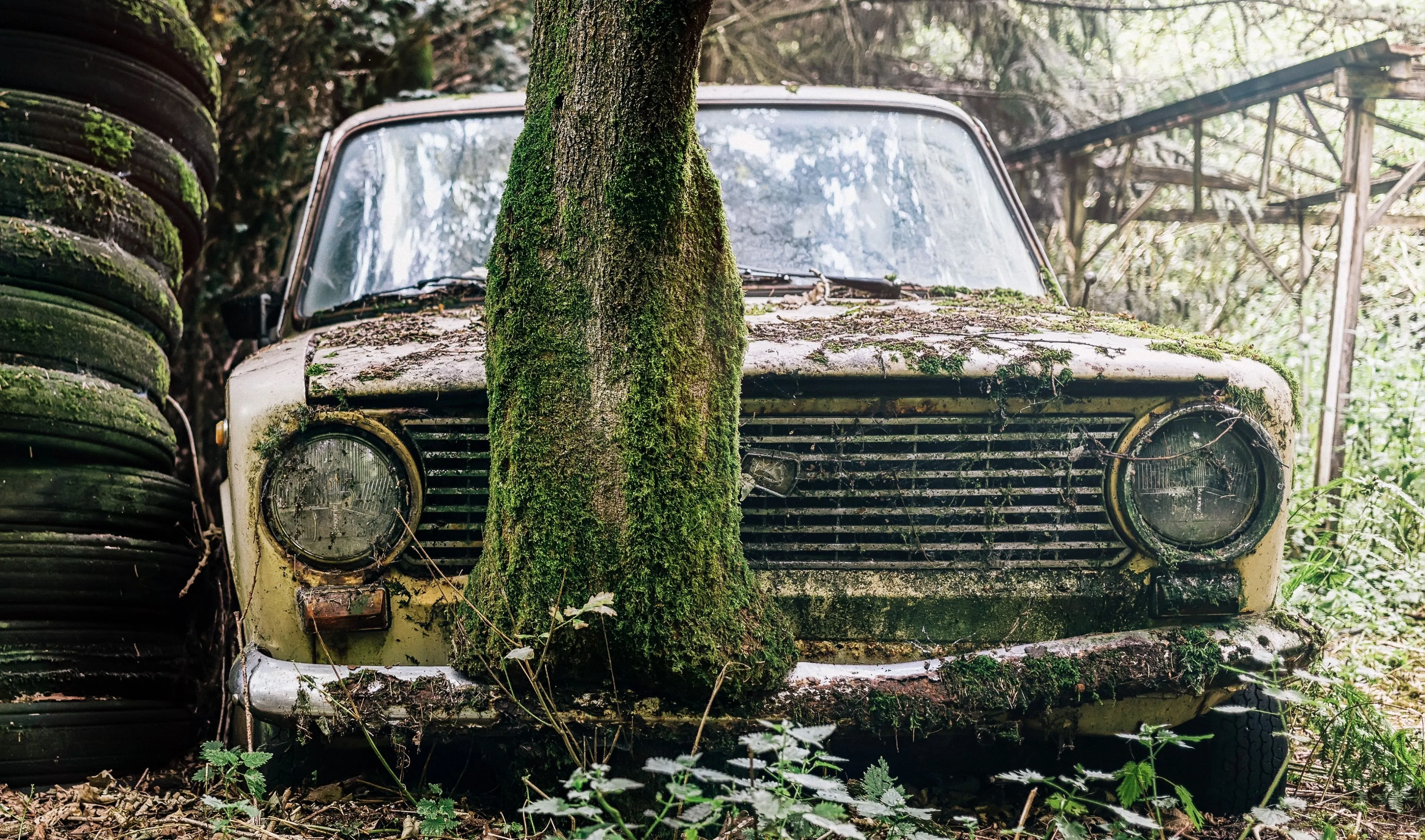 picture derelict abandoned car forest