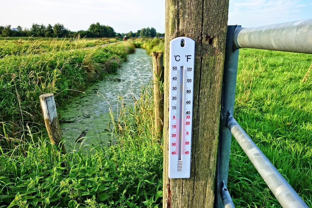 thermometer 2906817 1280