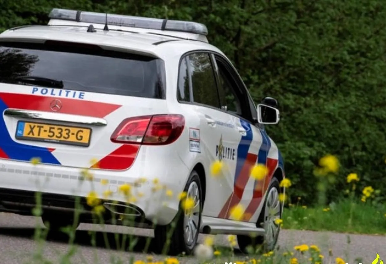 474773303 1011308761037205 3692463501658628946 n