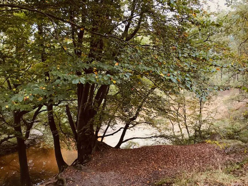 driestromenwandeling