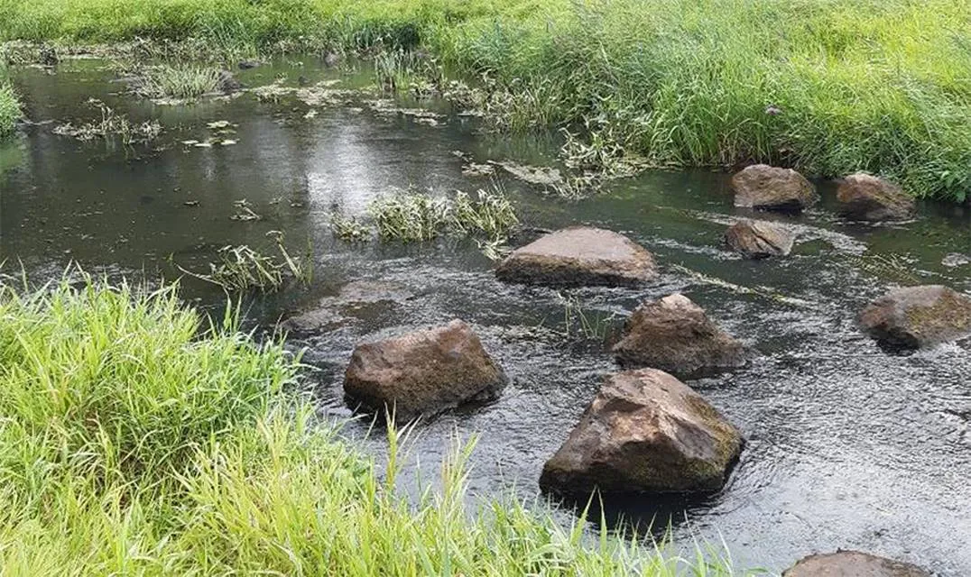 Stiltewandeling 2-2-2025 (1)