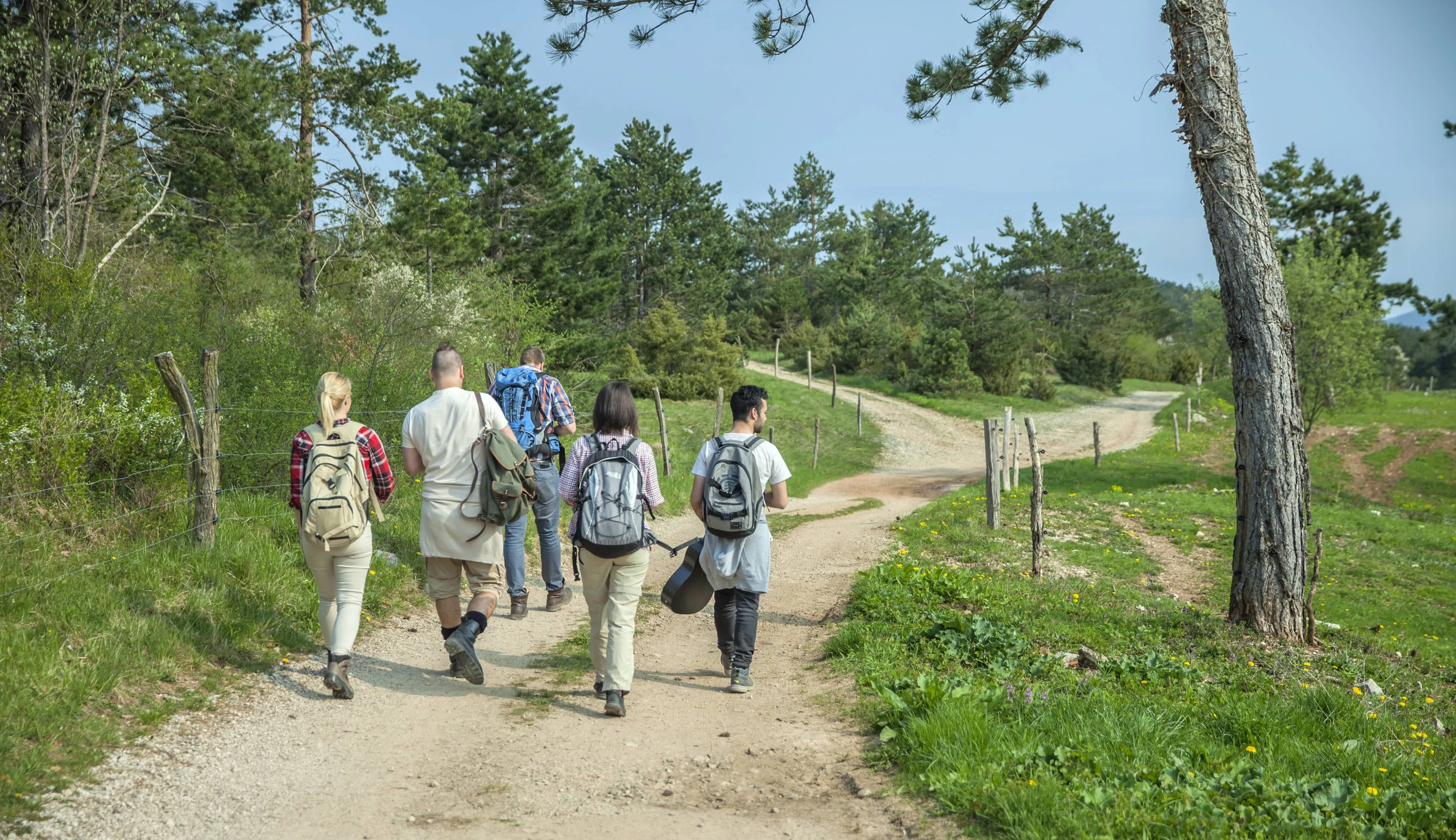 back-view-young-friends-with-backpacks-walking-forest-enjoying-good-summer-day