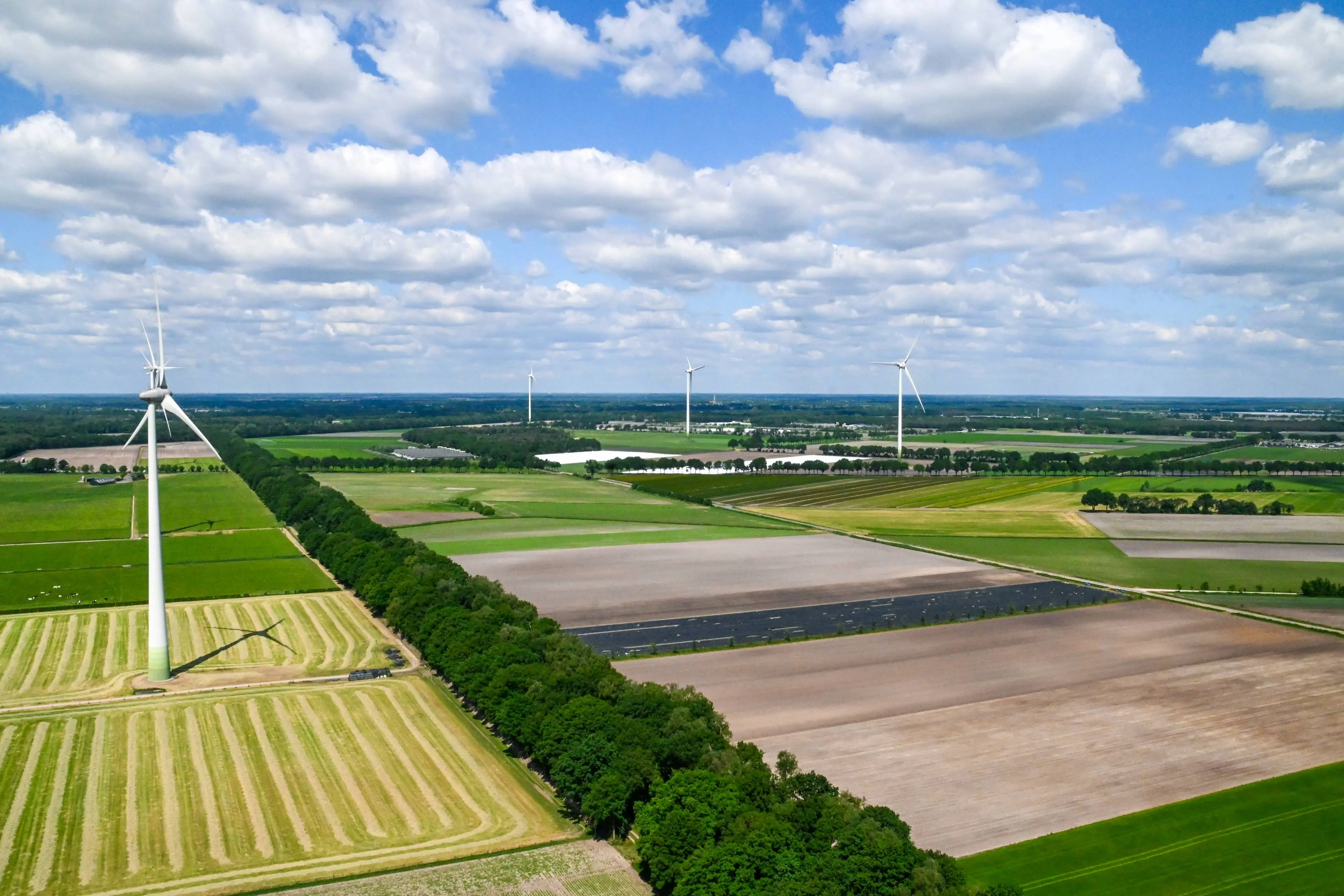 Zuidenwind2025-09